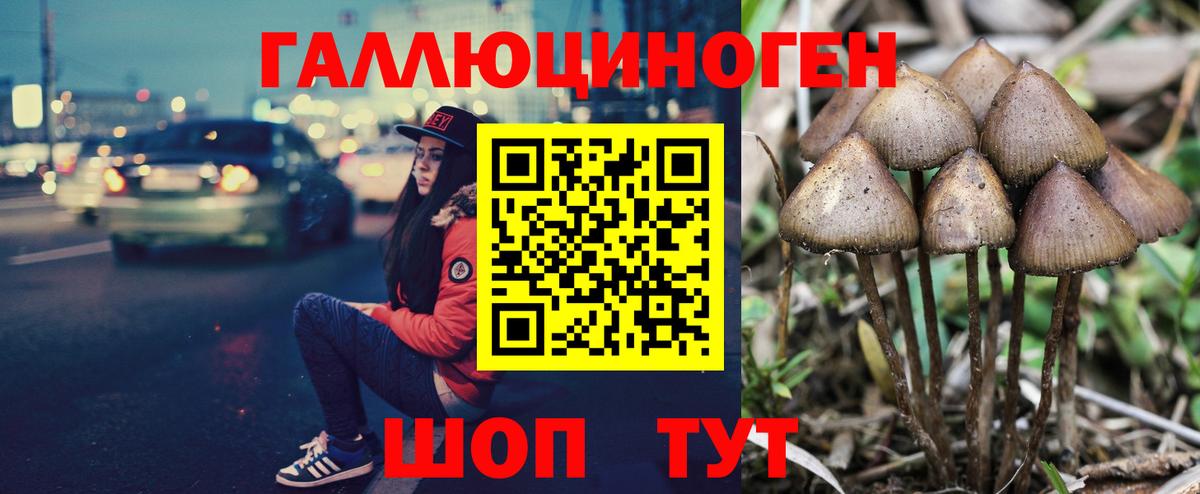 Псилоцибиновые грибы MAGIC MUSHROOMS Звенигород