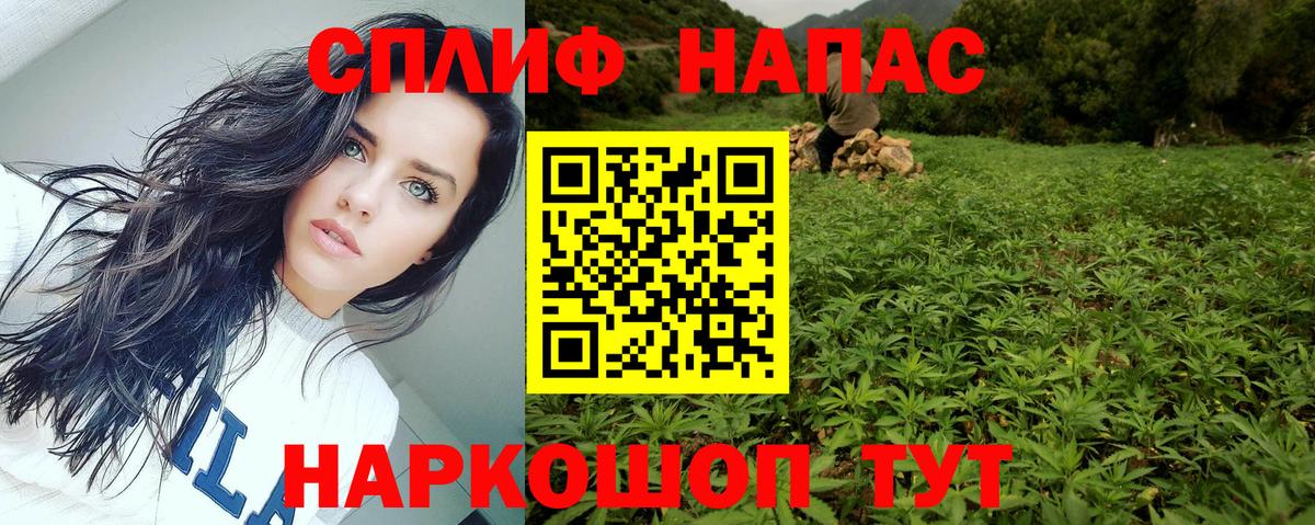 Конопля конопля Звенигород