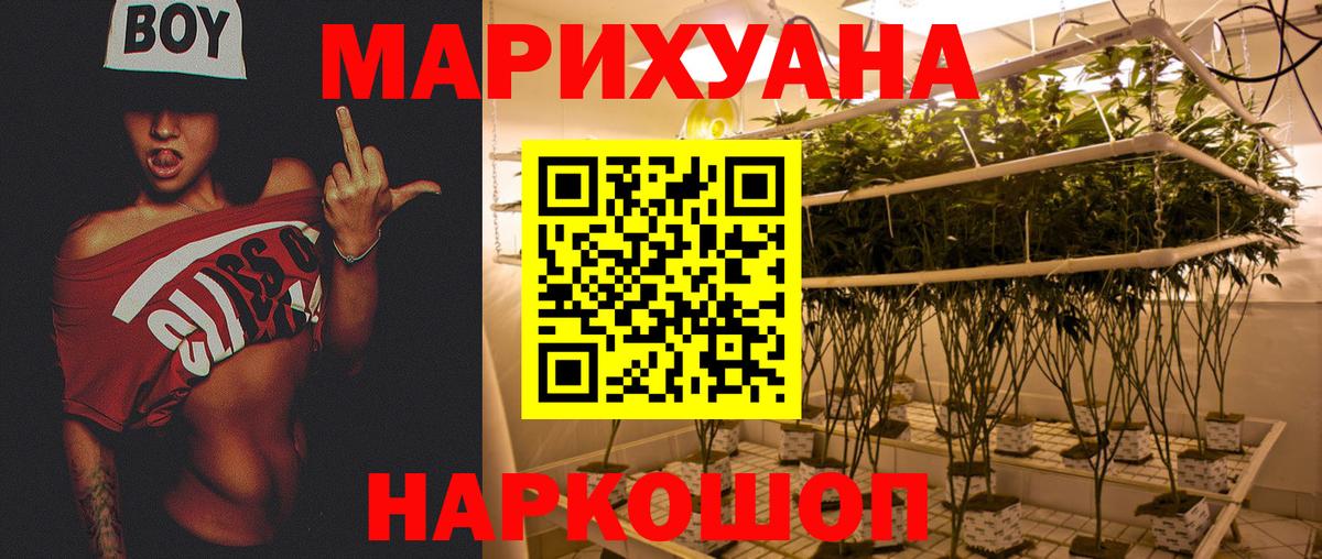 Конопля OG Kush  Конопля Amnesia  Марихуана Amnesia  Звенигород  Вход с VPN 